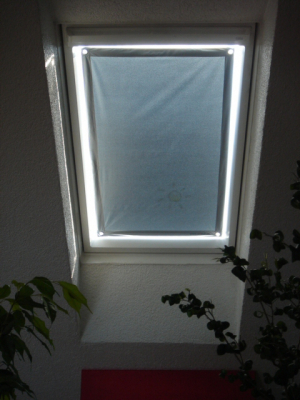 Sonnenschutz mit Saugnäpfen passend für alle Fenster